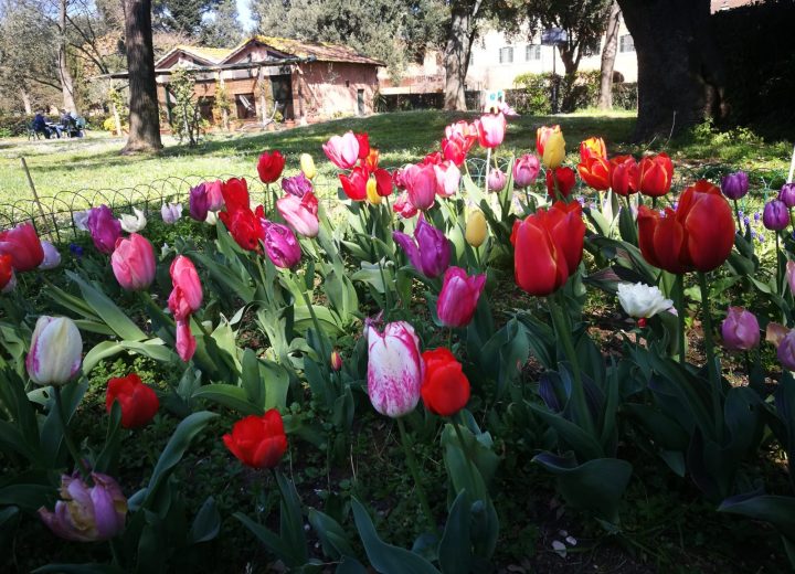 Beginning of Spring in Pantano